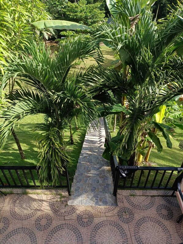 A stone pathway leading through a lush garden with various tropical plants and a green umbrella. - Ojo de agua Eco Ranch (Gaspar Hernandez)