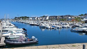 Ein Yachthafen mit zahlreichen Booten, die an der Uferpromenade vertäut sind, umgeben von Wohnhäusern.