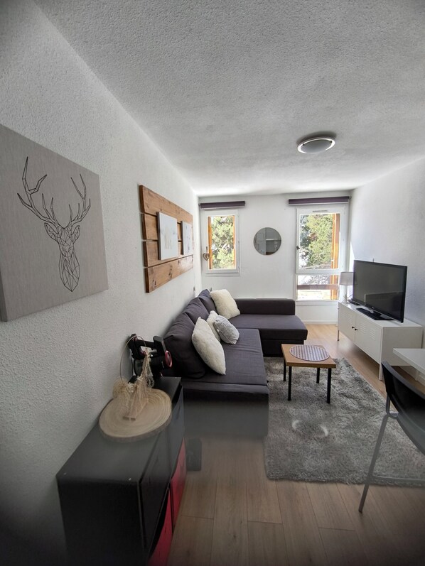 Living area - Studio cosy isard direct ski slope P2000 (Bolquère)