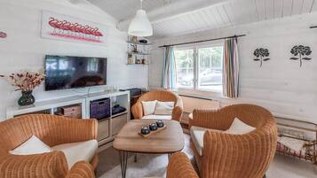 Fireplace, DVD player