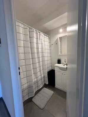Shower, hair dryer, bidet, towels - Tigre01 Spectacular location meters away from the river and nature! (Tigre)