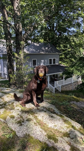 Ulkopuoli
