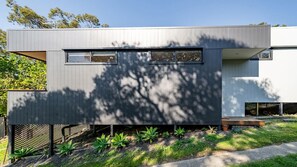 Exterior - Evergreen House - Nature Lovers, Architect Design (Blue Mountains National Park)