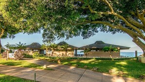 A beachfront hotel with a paved walkway, palm trees, and a view of the ocean. - Kaanapali Maui Eldorado K208 Partial Ocean Studio (Lahaina)