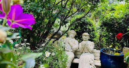 Elevated Serenity Where Views Meet Comfort