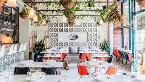 A restaurant with a modern interior, featuring hanging plants, a patterned wall, and a mix of red and black chairs.