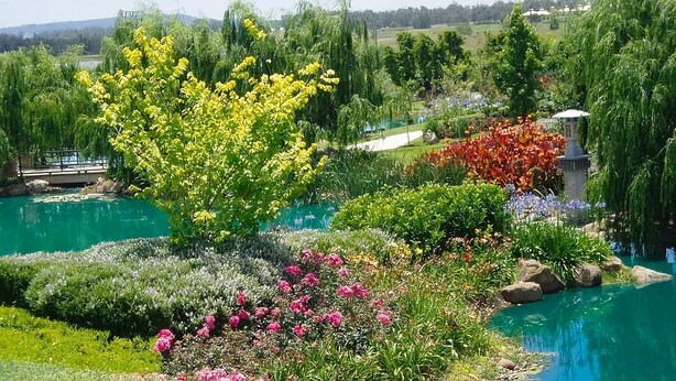 Ein angelegter Garten mit einem zentralen Teich, umgeben von verschiedenen blühenden Pflanzen und Bäumen.