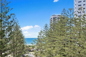 A coastal view with tall buildings and dense pine trees.