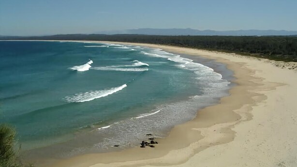 A beach with clear blue water and a sandy shore. - Blissful Stay Moments From the Beach (Surf Beach)