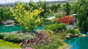 Ein angelegter Garten mit einem zentralen Teich, umgeben von verschiedenen blühenden Pflanzen und Bäumen.