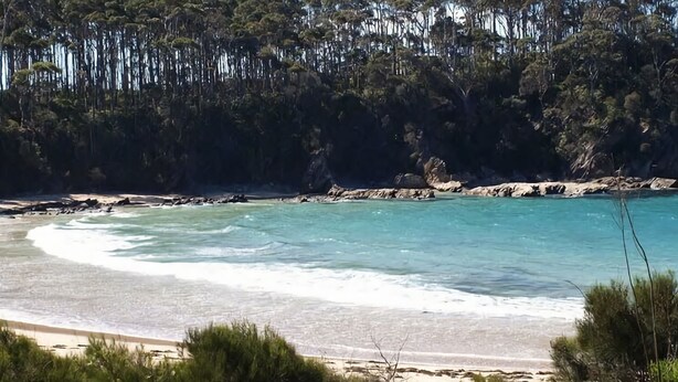 A coastal beach with clear turquoise waters, sandy shore, and dense forest in the background.