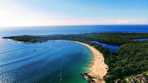 Vista aérea de una zona costera con playa arenosa, aguas azules cristalinas y un bosque verde frondoso.