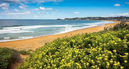 Cute Beach Escape 50m to Wamberal Beach