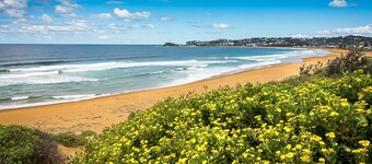 Cute Beach Escape 50m to Wamberal Beach