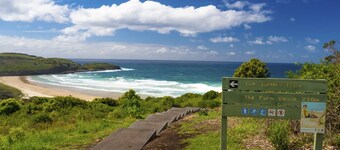 Coastal Delight In Shellcove