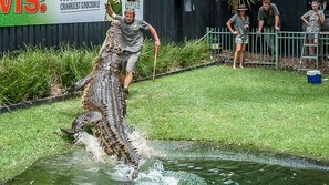Property grounds - Umina Myrtle Bungalow Sleeping 4 Guests (Umina Beach)