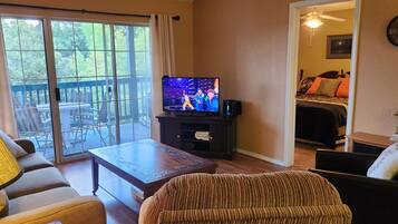 Smart TV, fireplace, DVD player