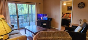 Smart TV, fireplace, DVD player