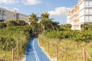 Un chemin menant à un bâtiment, avec une piste cyclable bleue, entouré de verdure et de palmiers.