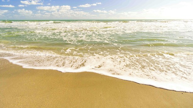 Une plage où les vagues viennent doucement lécher le rivage sous un ciel dégagé.