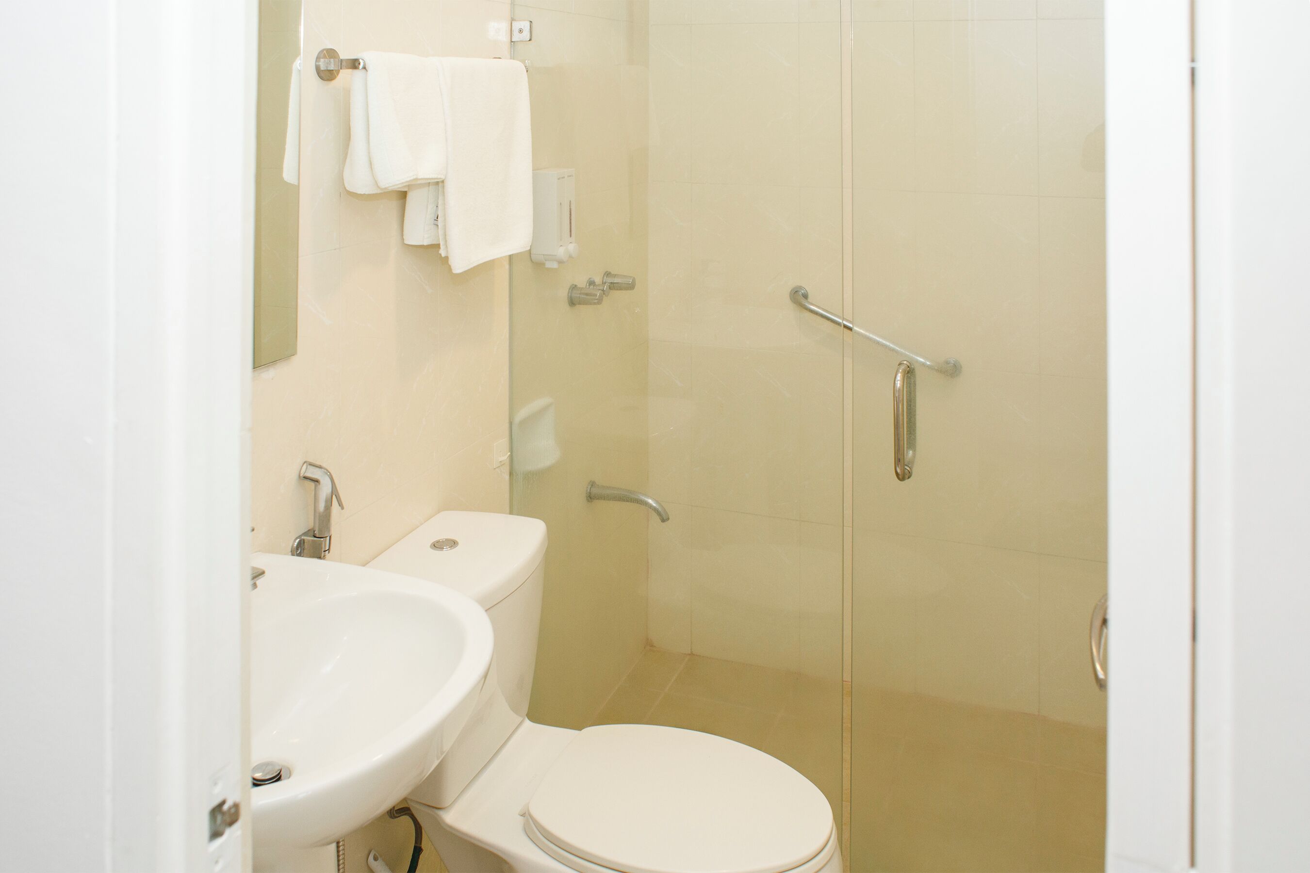 Une salle de bain avec un lavabo, des toilettes et une douche.
