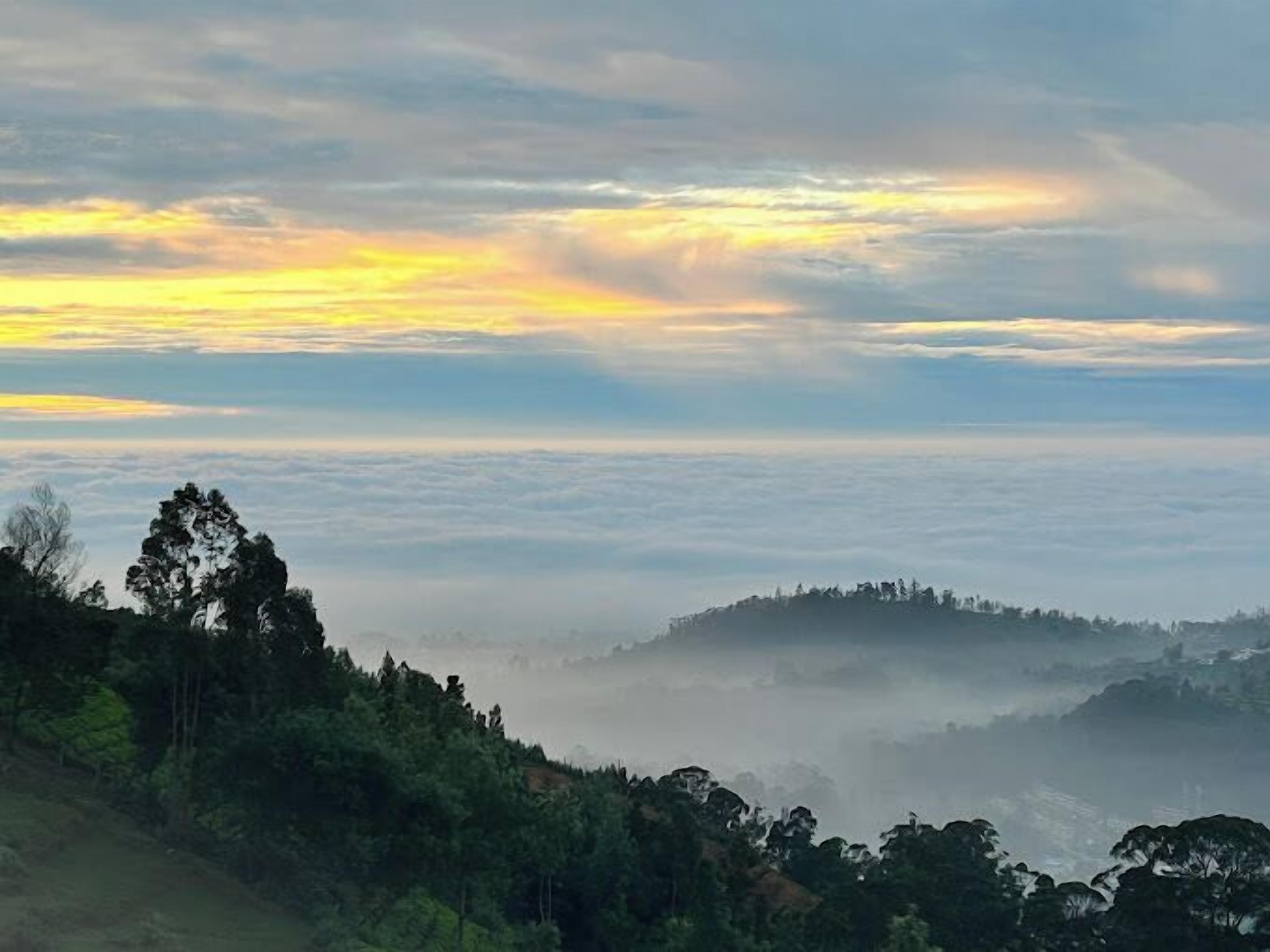 A landscape with a forested hill and a misty valley.