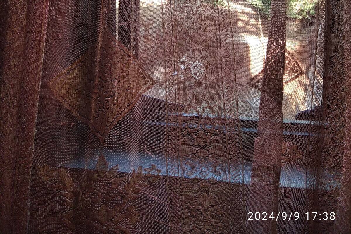 A window with a patterned curtain, through which trees and a building are visible.