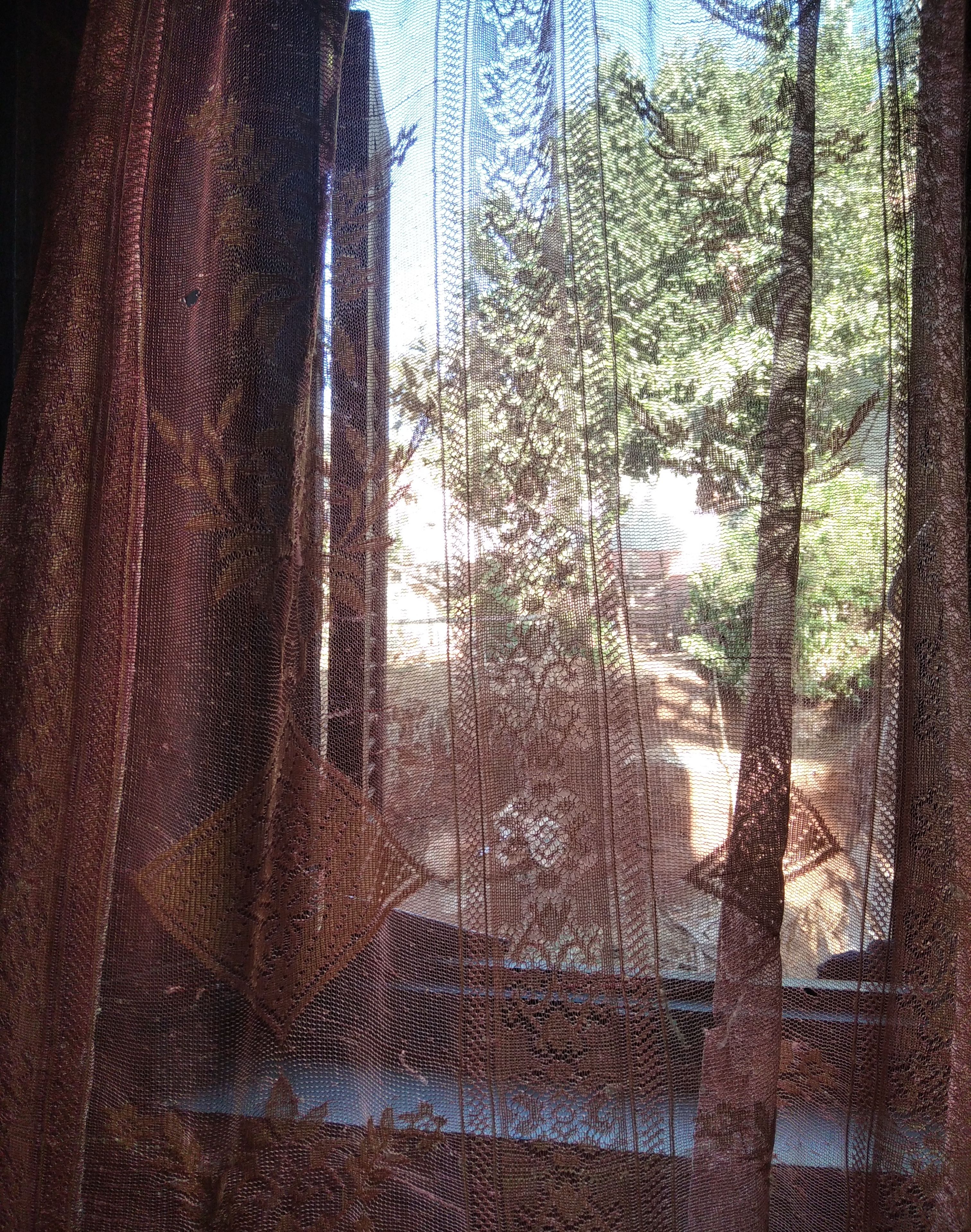 A window with a patterned curtain, through which trees and a building are visible.