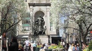 Una piazza pubblica con un monumento centrale, circondata da alberi e persone.