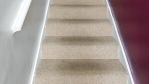 Una escalera con peldaños alfombrados en tonos beige y barandillas blancas, que conduce a una habitación con una pared de acento púrpura.