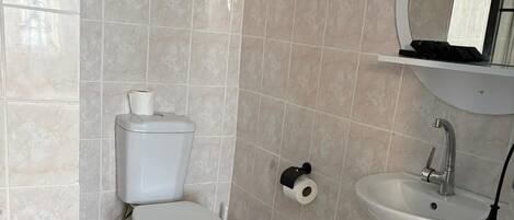 Un baño con inodoro, lavamanos y ducha.