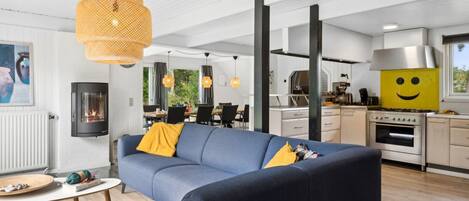 Tv, pejs, dvd-afspiller, bordfodbold