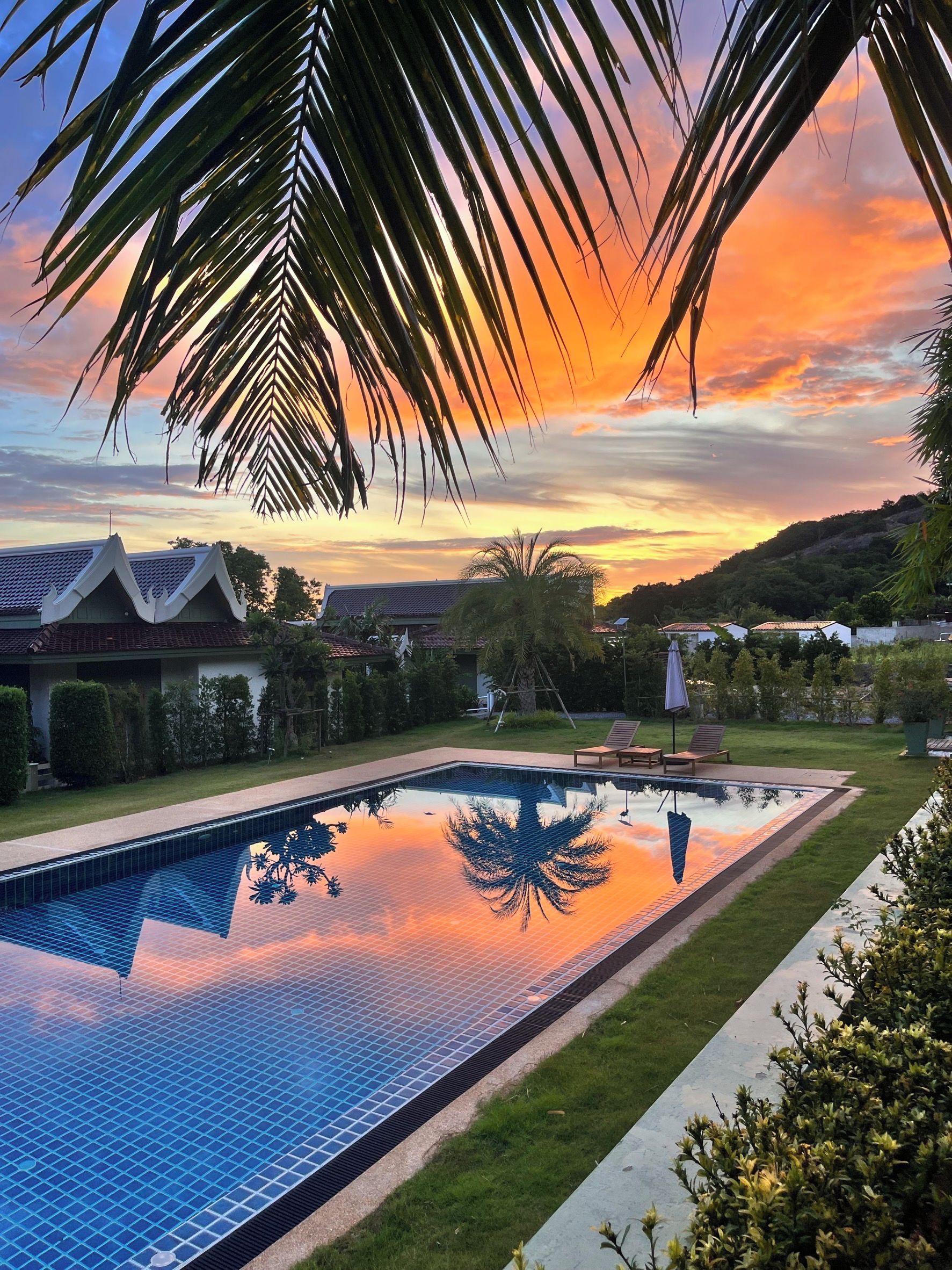 A swimming pool with a clear reflection, surrounded by a well-maintained lawn and palm trees, with a traditional building in the background.