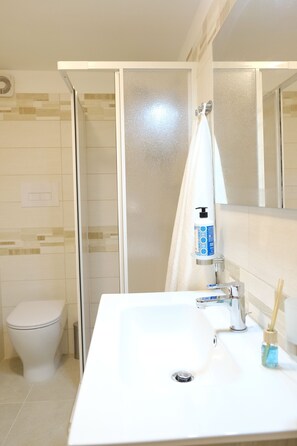 Shower, hair dryer, bidet, towels