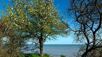 In Strandnähe