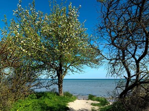 Perto da praia 