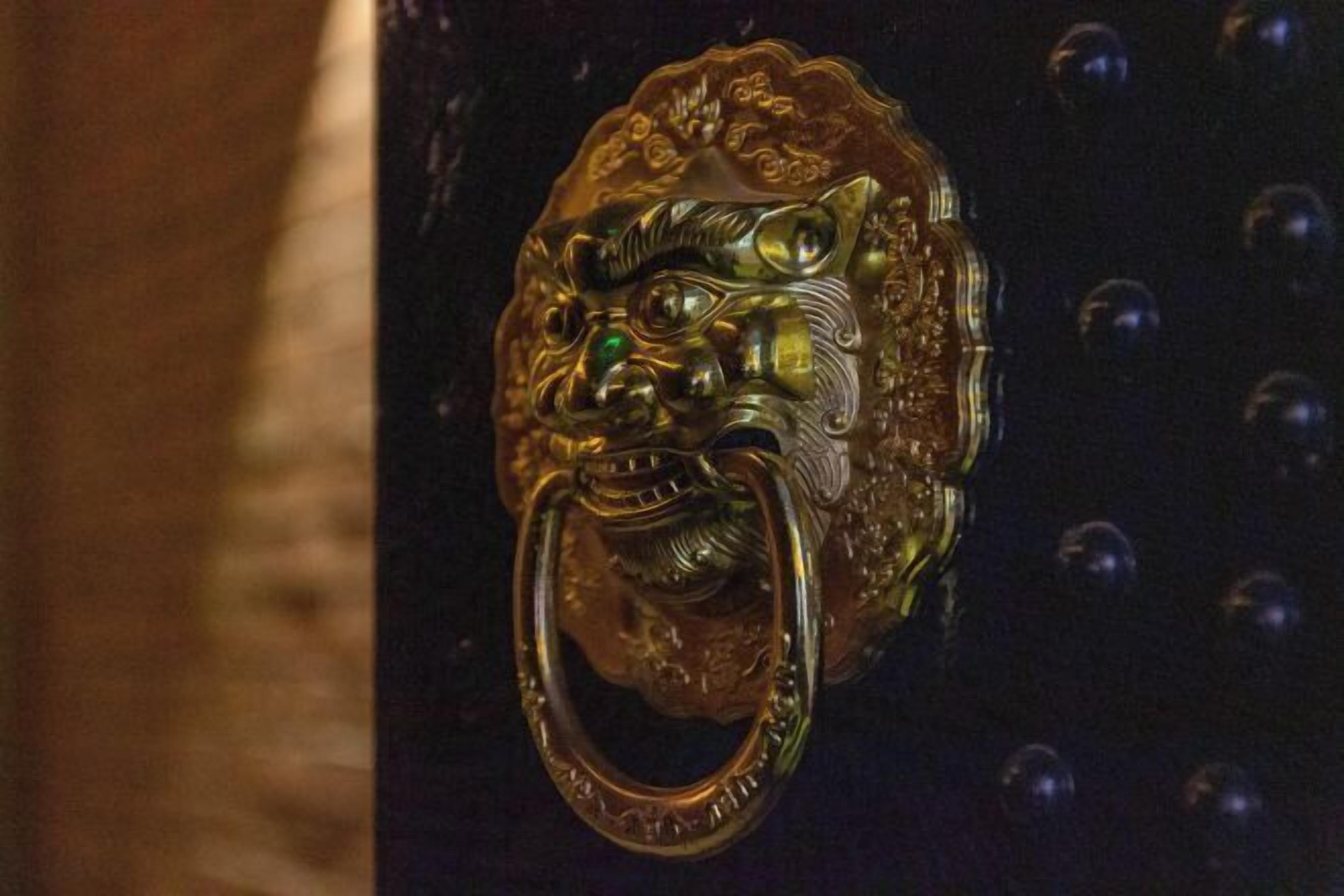 A brass door knocker with a lion's head design.