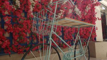 Una bicicleta estática con una canasta, ubicada frente a una pared cubierta de flores rojas y blancas.