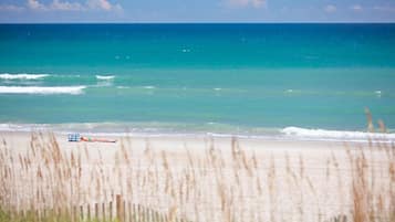Playa en los alrededores