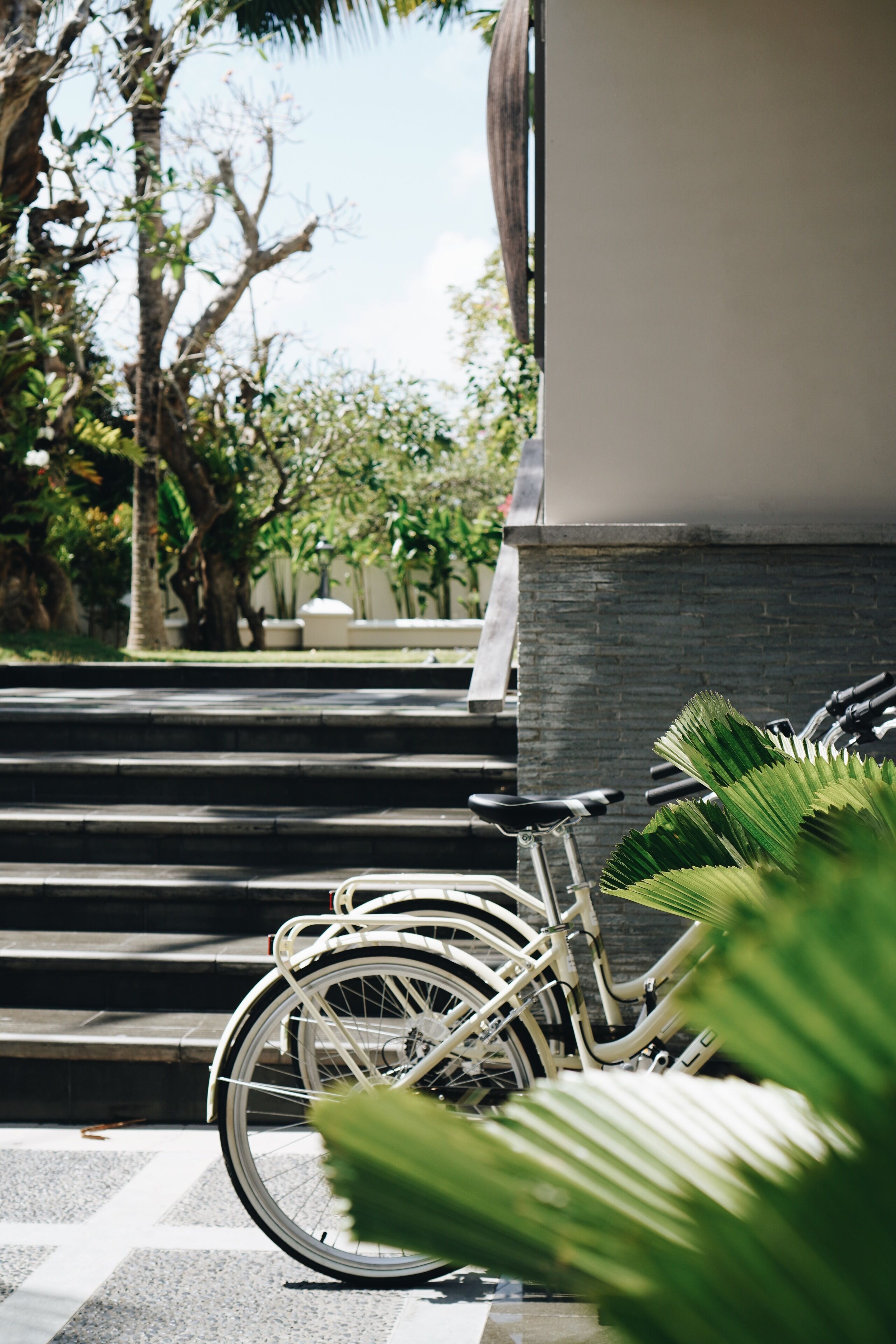 A bicycle parked near a building's entrance, with steps leading up to the door.