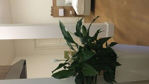 A room with a wooden floor, a white wall, and a large potted plant in the foreground. - Perkeo Apartments: 2 Studios with shared terrace | Heidelberg-Oldtown (Heidelberg)