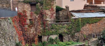 🏡 Charming cottage with fireplace & patio – natural pool just 500m away! 🐶🐱💗