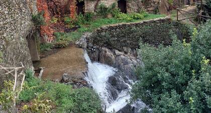 🏡 Charming cottage with fireplace & patio – natural pool just 500m away! 🐶🐱💗