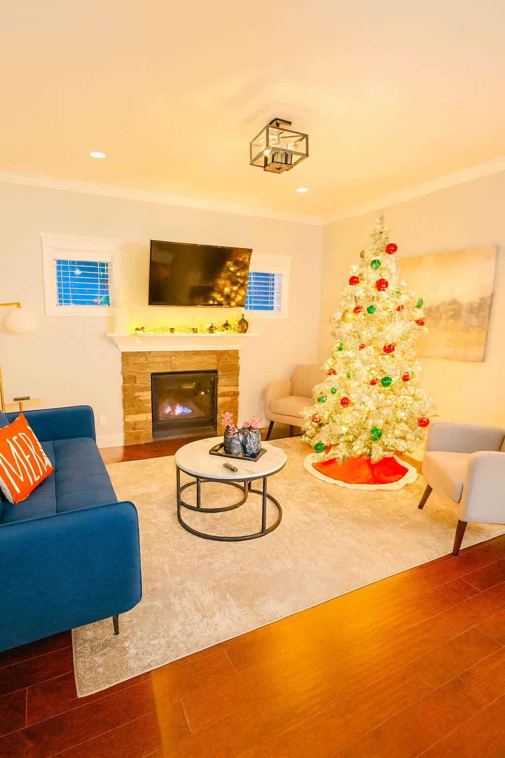 Fernseher, Kamin, DVD-Player, Arbeitsbereiche