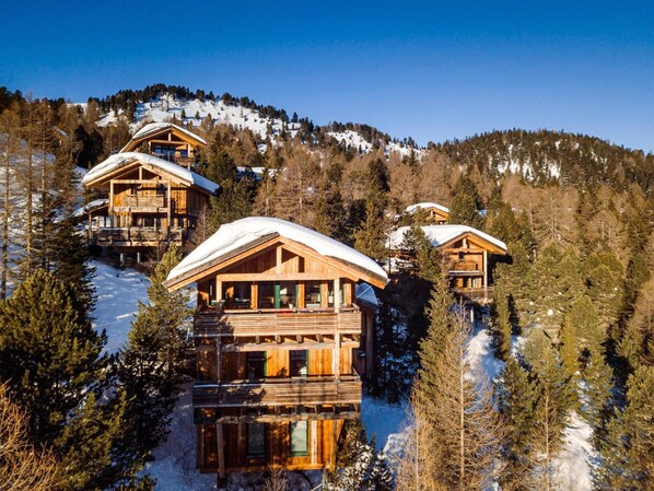 Exterior - Modern Chalet With Infrared Sauna (Stadl-Predlitz)