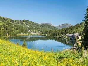 View from property - Modern Chalet With Infrared Sauna (Stadl-Predlitz)