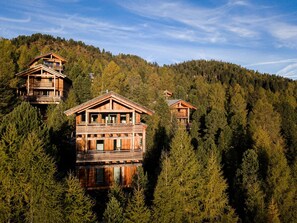 Exterior - Modern Chalet With Infrared Sauna (Stadl-Predlitz)