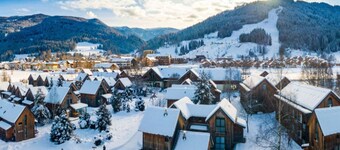 Traditional Chalet With Terrace