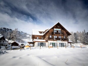 Apartment | Exterior - Apartment in Alps Near Ski Slope (Stadl-Predlitz)