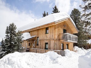 Chalet | Exterior - Chalet in Austria Near Ski Slopes & Sauna (Stadl-Predlitz)